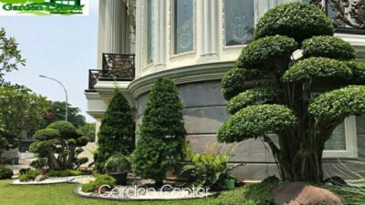 7 Alasan Mengapa Mencari Jasa Pembuatan Taman di Jakarta